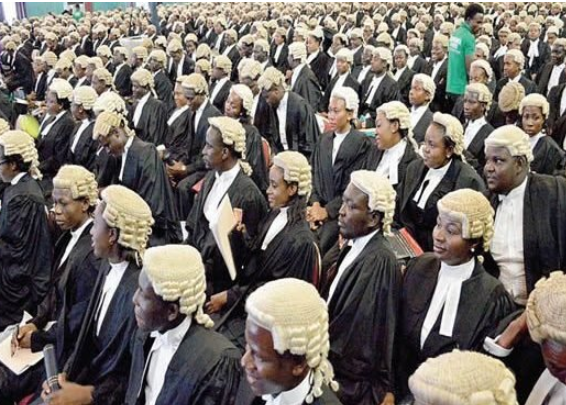 Lawyers aid 138 indigent drug offenders