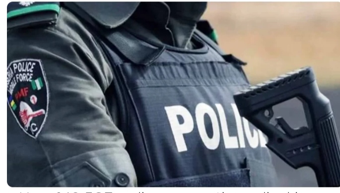 How 140 FCT police operatives died in 2024