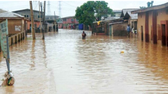 Flood displaced 85,000 people in Bauchi – Nigerian Red Cross Society